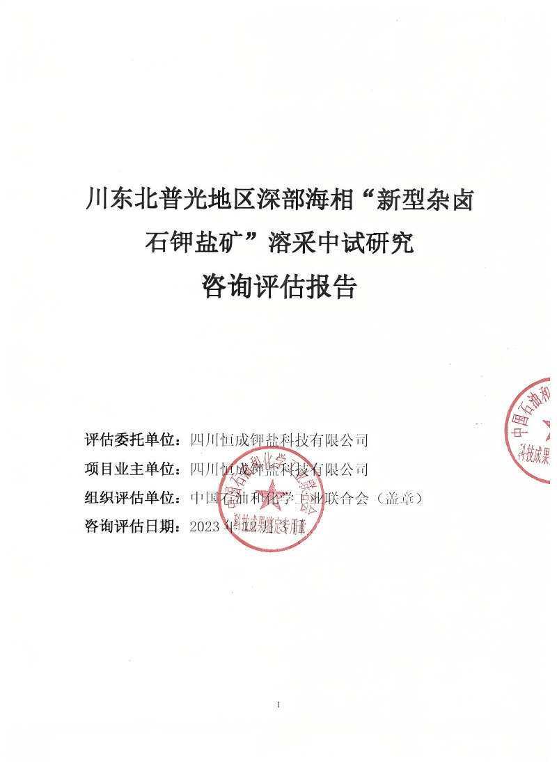川东北普光地区深部海相“新型杂卤石钾盐矿”溶采中试研究咨询评估报告