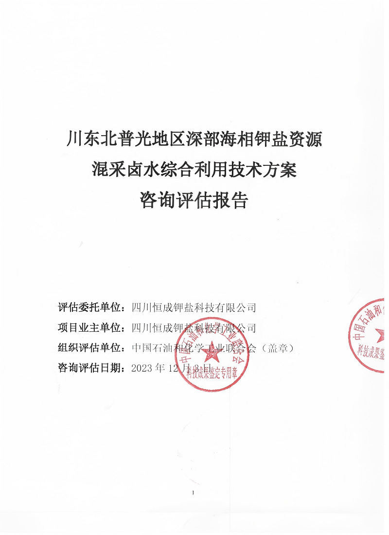 川东北普光地区深部海相钾盐资源混采卤水综合利用技术方案咨询评估报告
