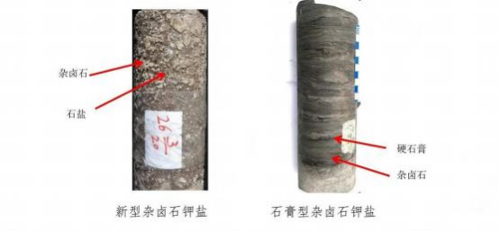 深层海相钾盐资源“固液兼探”找矿及“混合 开采”一体化首创模式突破与双亿级钾盐矿新发现